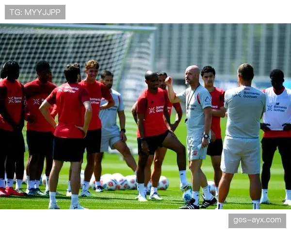 勒沃库森战术革新成效显著，新赛季强势崛起彰显竞技优势